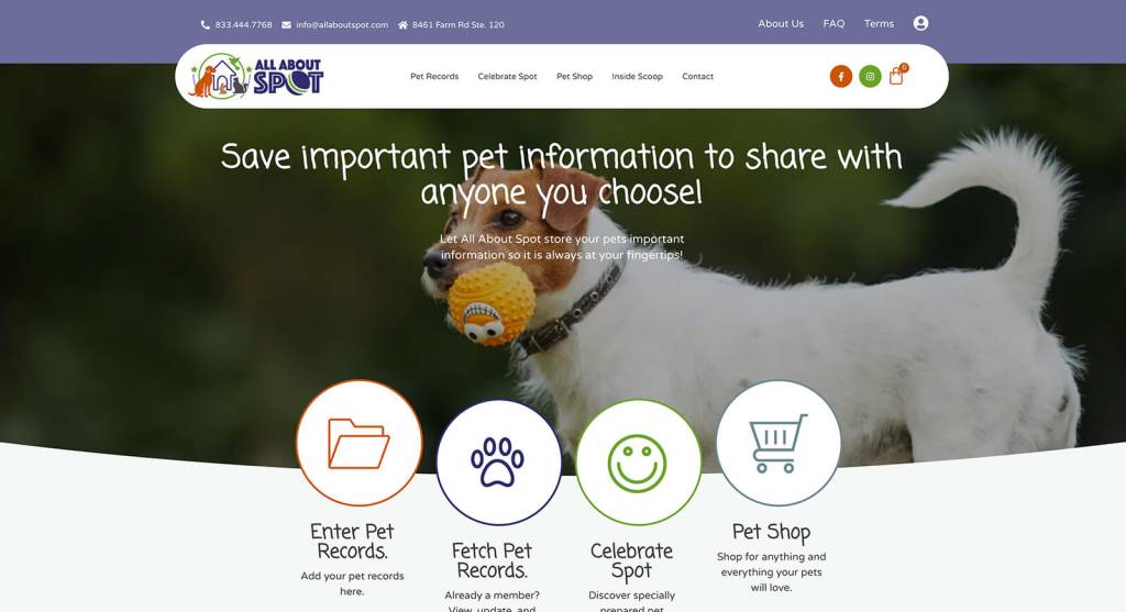 Digital Design - Website Production