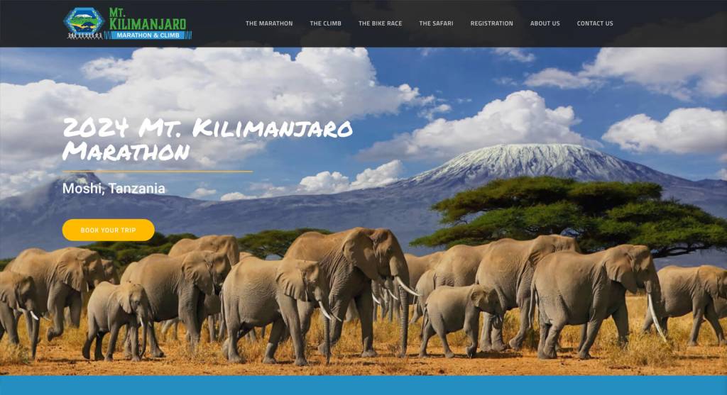 Digital Design - Website Production